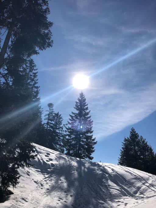Sonniges Apartment In Seefeld เซเฟลด์ อิน ทิโรล ภายนอก รูปภาพ