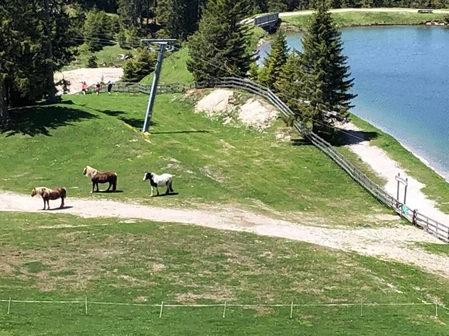 Sonniges Apartment In Seefeld เซเฟลด์ อิน ทิโรล ภายนอก รูปภาพ